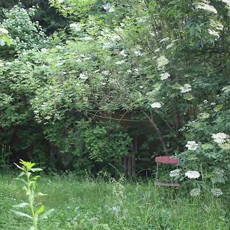 Zu Hause 1949 Markdorf