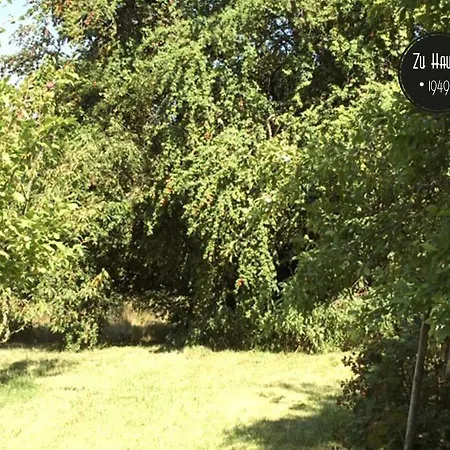 Zu Hause 1949 3* Markdorf