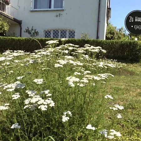 Guest house Zu Hause 1949 Markdorf