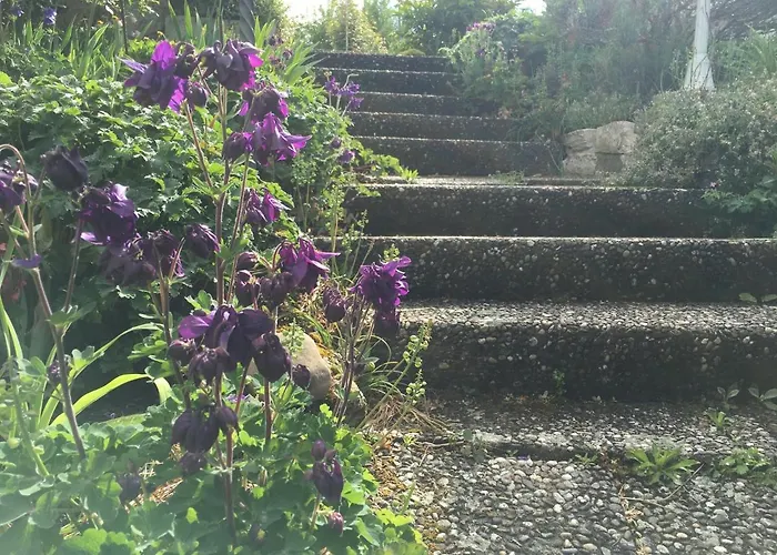 Zu Hause 1949 ゲストハウス