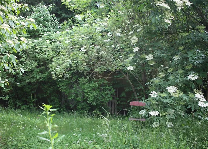 Zu Hause 1949 マルクドルフ