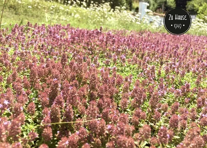 Zu Hause 1949 ゲストハウス マルクドルフ